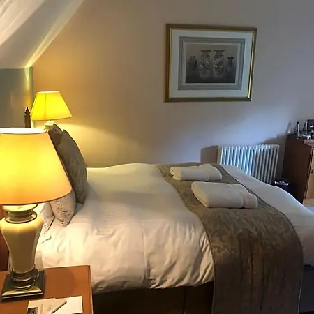 Hotel The 4*